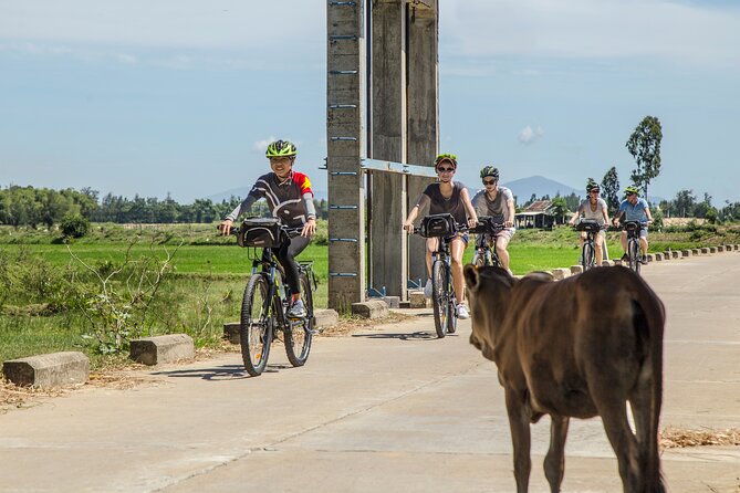 Hoi An Morning Countryside Tour by Bike - What makes this Hoi An bike ride worth considering