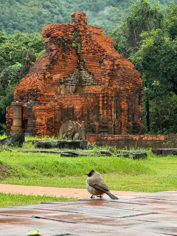 Hoi An: My Son Sanctuary Private Tour with Local Guide - The ride from Hoi An keeps the morning simple