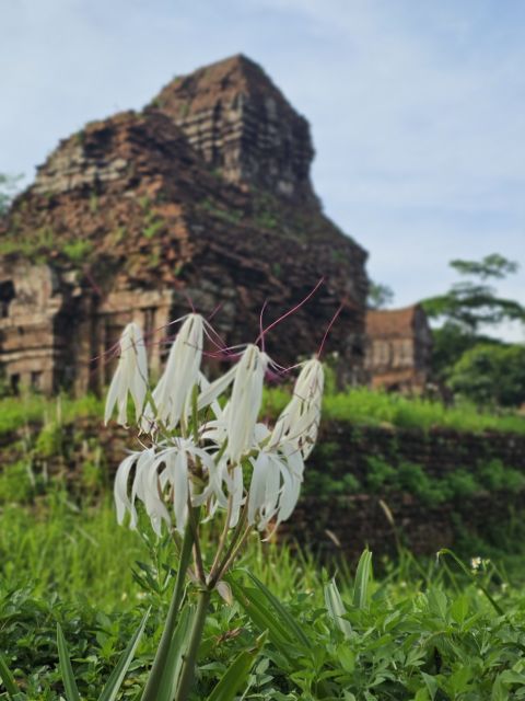 Hoi An: My Son Sanctuary & Sunset River Cruise BBQ or Banhmi - The 40-minute transfer to the pier