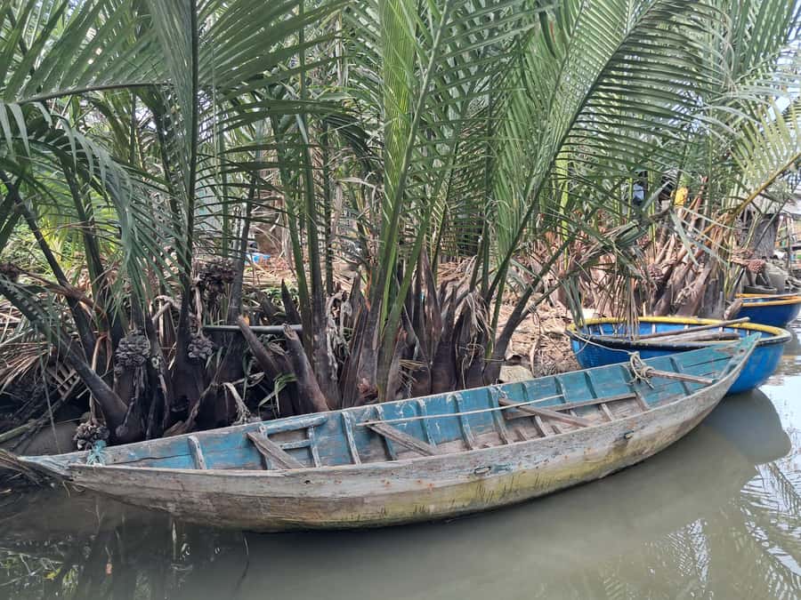 Hoi An: My Son Sanctuary with Basket Boat and Lunch Options - Returning by boat on the Thu Bon River