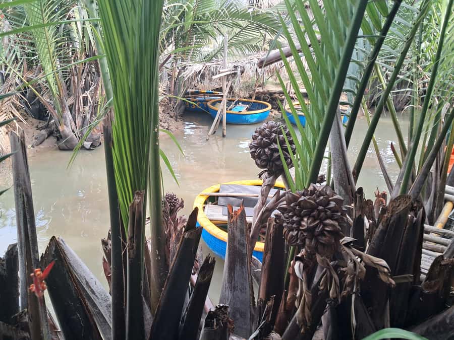 Hoi An: My Son Sanctuary with Basket Boat and Lunch Options - Who should choose this day trip