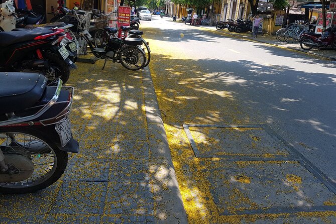 Hoi An town private walking tour with boat trip - Traditional games, dancing, and Mot herbal tea