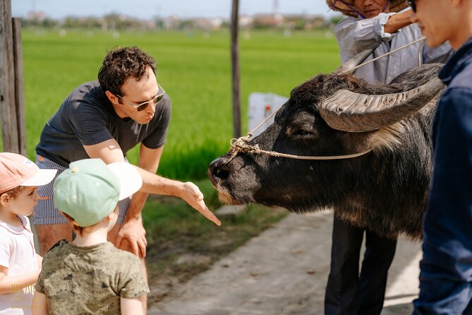 HoiAnGO Experience Local Life: Countryside by Electric Car - Rice fields and traditional farming