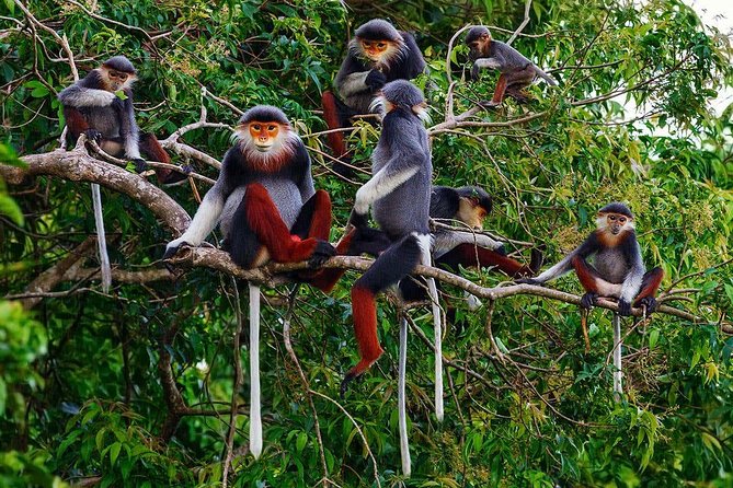 Hue to Dn/Hoi An: Hai Van Pass, beaches & Mt Monkey or vice versa - Extra stops can make the trip personal
