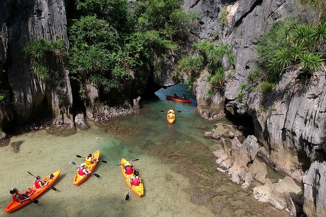 Kayaking at Lan Ha Bay - Wildlife watching around the limestone islands