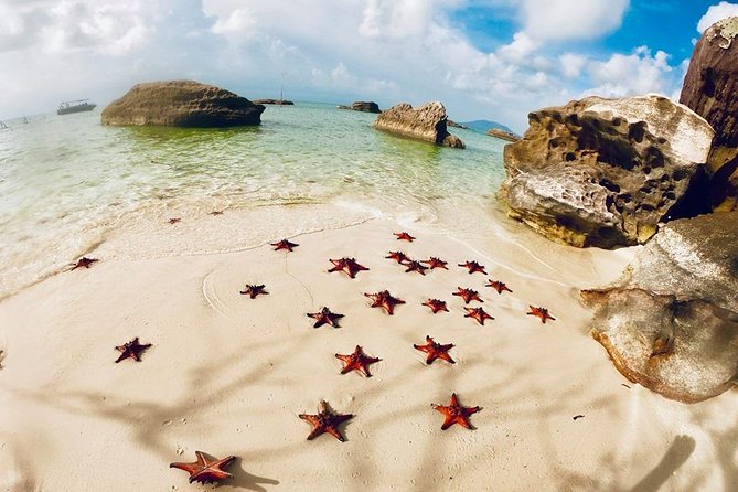 Land Tour 2: Discover the North - Kayaking & Starfish beach Phu Quoc (Not Lunch) - A north-island day with plenty packed in