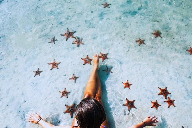 Land Tour 2: Discover the North - Kayaking & Starfish beach Phu Quoc (Not Lunch) - The Cua Can River paddle