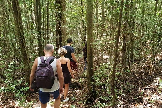Land Tour 2: Discover the North - Kayaking & Starfish beach Phu Quoc (Not Lunch) - Bee farms, pepper plants, and changing extra stops