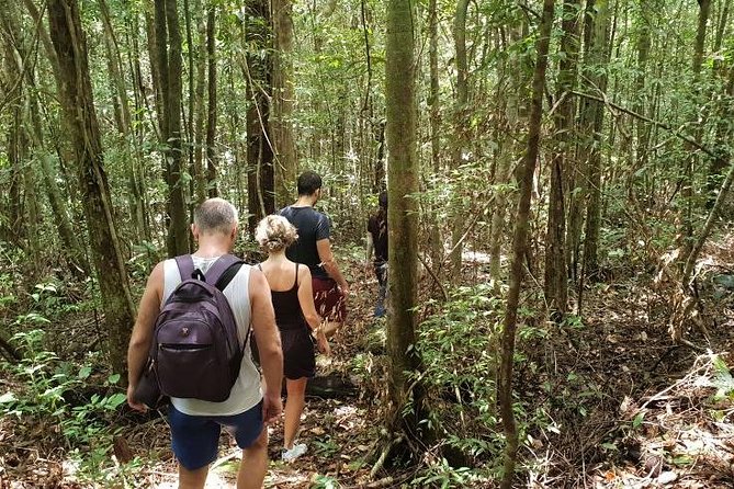 Land Tour 2: Discover the North - Kayaking & Starfish beach Phu Quoc (Not Lunch) - Who will enjoy this tour most