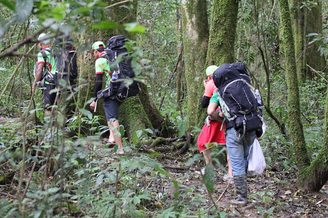Langbiang Green Trekking Tours - Signature Trekking Da Lat - Why this Langbiang hike is different from a viewpoint visit