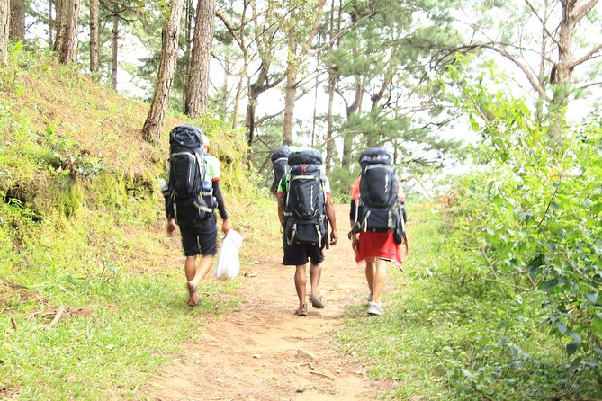 Langbiang Green Trekking Tours - Signature Trekking Da Lat - From Da Lat pickup to the first forest paths