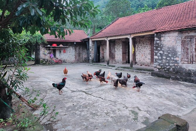 Luxury Ninh Binh Full Day Tour From Hanoi (Trang An - Hoa Lu) - Meeting a three-generation Vietnamese family