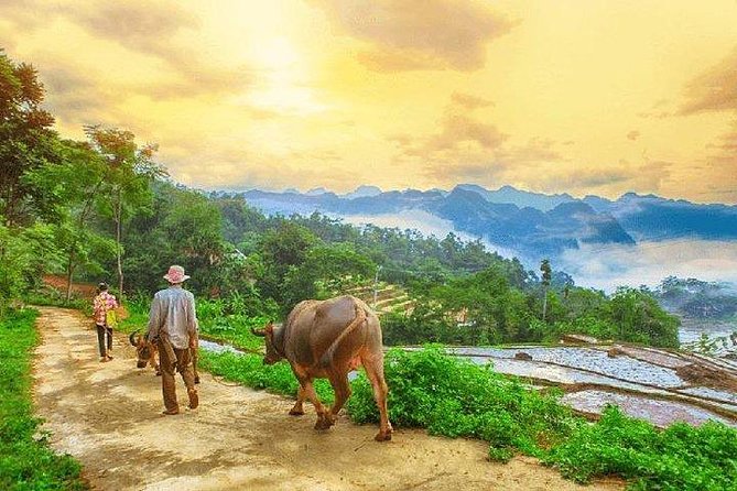 MAI CHAU 1 DAY TOUR | HIDDEN CHARM | SHARED or PRIVATE OPTIONS - Thung Khe Pass and the Muong market
