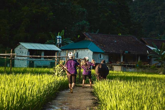 Majesty Of Untouched Northern Vietnam Tour 6 Days - Day 4: Ban Gioc Waterfall and Phuoc Sen Village