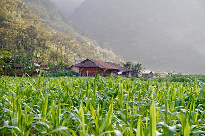 Majesty Of Untouched Northern Vietnam Tour 6 Days - Day 6: Ba Be Lake, Cam Village, and Puong Cave