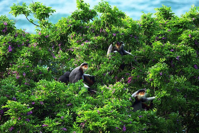 Marble mountain, Am Phu cave and Monkey mountains group tour - Lunch with a local family