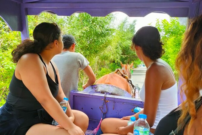 Mekong Delta Tour Daily - Vinh Trang Pagoda: a strong first stop