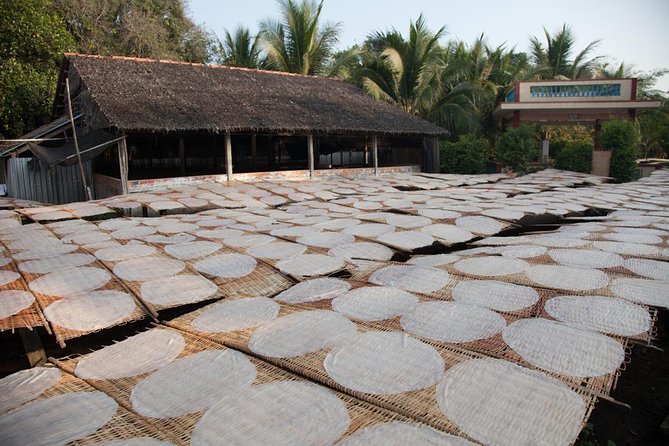 Mekong Delta Tour Full Day Cai Be-Vinh Long - Practical details that can shape your day