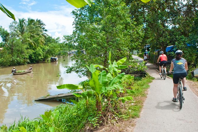 Mekong Delta VIP Tour - Transportation by Limousine - How comfortable is the VIP limousine?