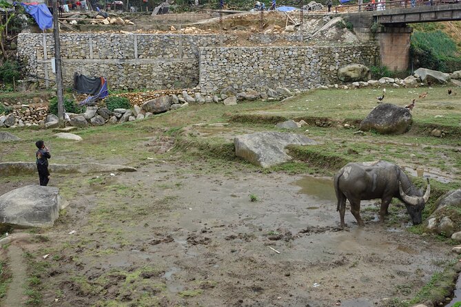 Mountain views and villages trek – 1 Day - Hau Thao, Giang Ta Chai, and the rice terraces