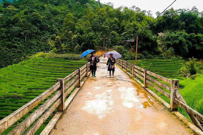 Muong Hoa Valley Trek & Homestay Experience - 4D3N - Is $190 a Fair Price?