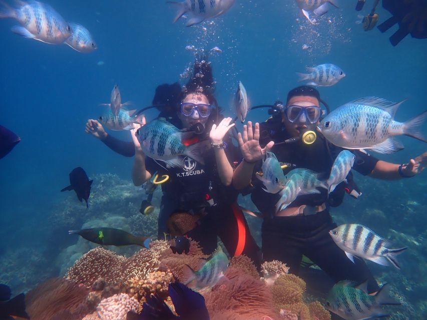 Nha Trang: Scuba Diving Experience for Non-Certified Divers - The boat ride sets the pace for the day