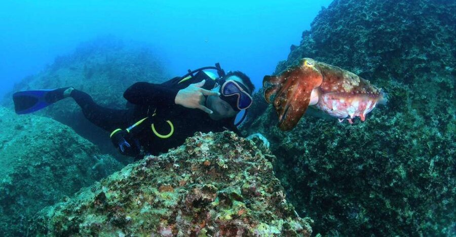 Nha Trang: Scuba Diving Experience for Non-Certified Divers - A second session for snorkeling or more scuba