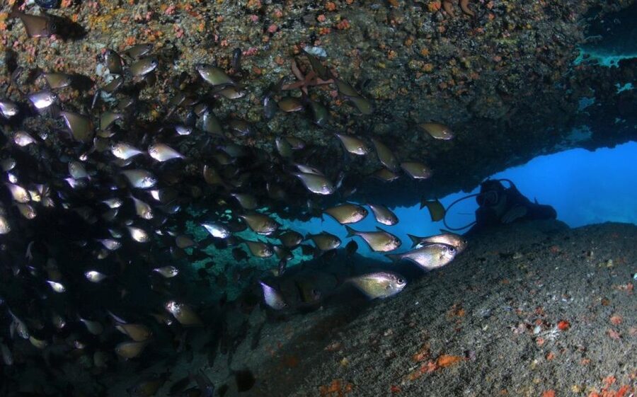 Nha Trang: Scuba Diving Experience for Non-Certified Divers - Learning the equipment before entering the sea