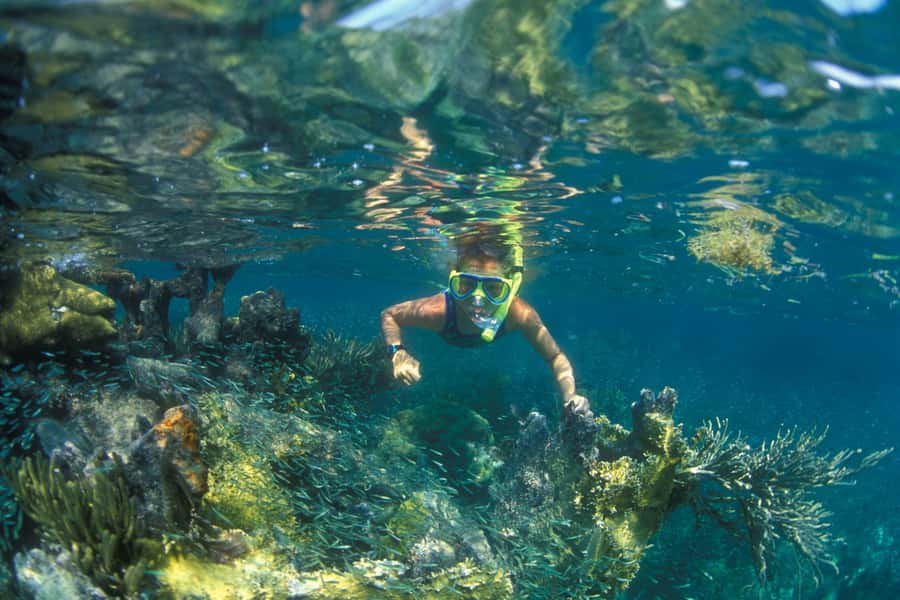 Nha Trang: Snorkeling Tour with BBQ Lunch at Coral Reef - First reef stop: coral, fish, and possible jellyfish