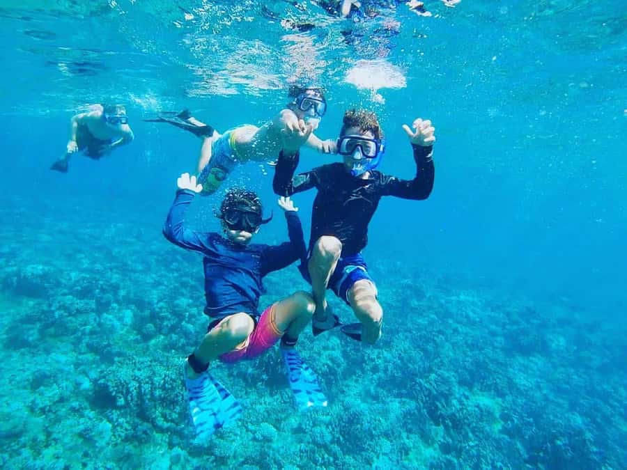 Nha Trang: Snorkeling Tour with BBQ Lunch at Coral Reef - The early pickup and ride to the port