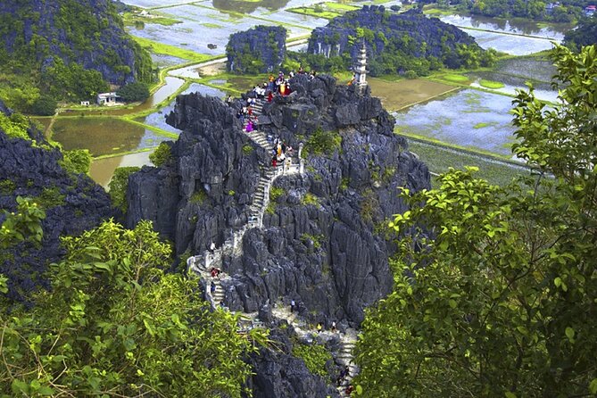 Ninh Binh 1 Day Bai Dinh Trang An Mua Cave Small Group Tour - Mua Cave and the 500-step test
