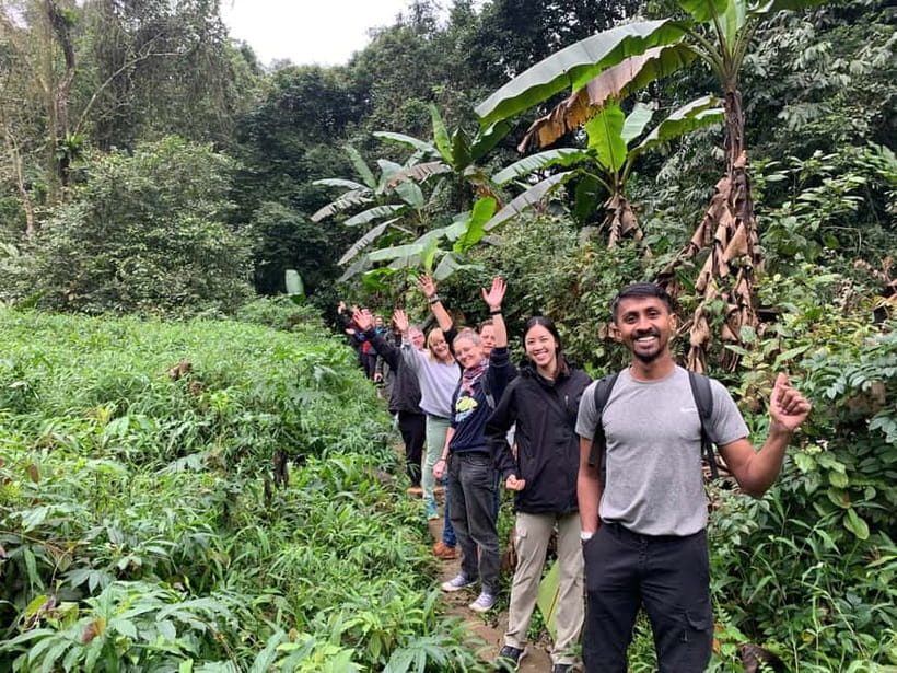 Ninh Binh: Cuc Phuong Jungle Hike & Wildlife Day Trip - Walking through the rainforest