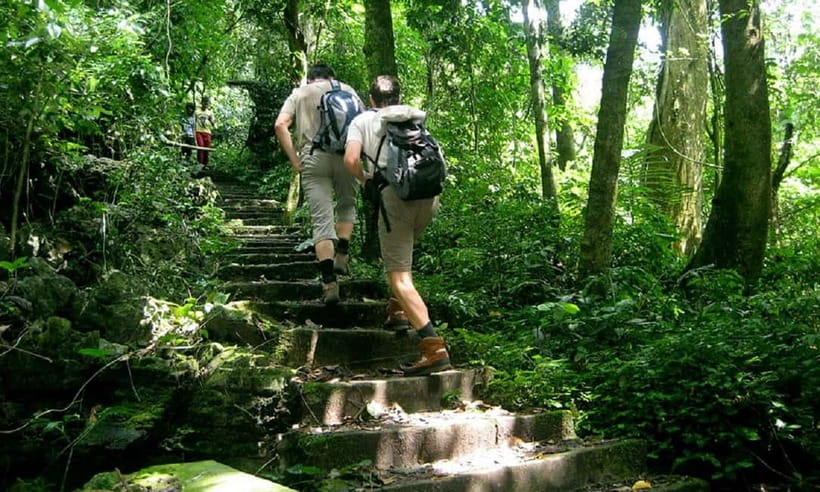 Ninh Binh : Cuc Phuong National Park One Day Group Tour - Key points at a glance