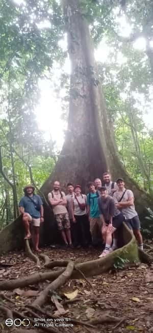 Ninh Binh : Cuc Phuong National Park One Day Group Tour - Lunch inside the park