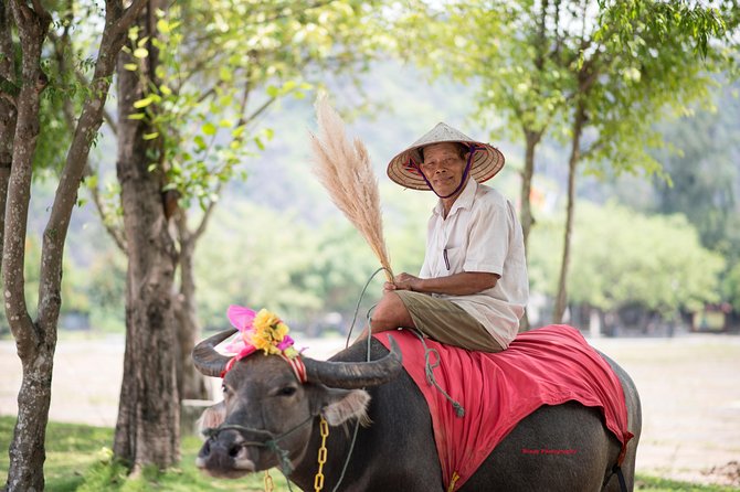 Ninh Binh Daily Tour: Hoa Lu - Tam Coc boat trip and Bike - Cycling through Hoa Lu’s rice country