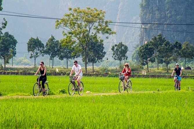 Ninh Binh Day Tour to Hoa Lu Trang An Mua Cave with Buffet Lunch - How hard is the day?
