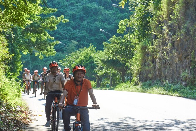 Ninh Binh Day Trip: Hoa Lu-Trang An/Tam Coc-Mua Cave-Cycling-Boat - Vietnamese buffet lunch at a local restaurant