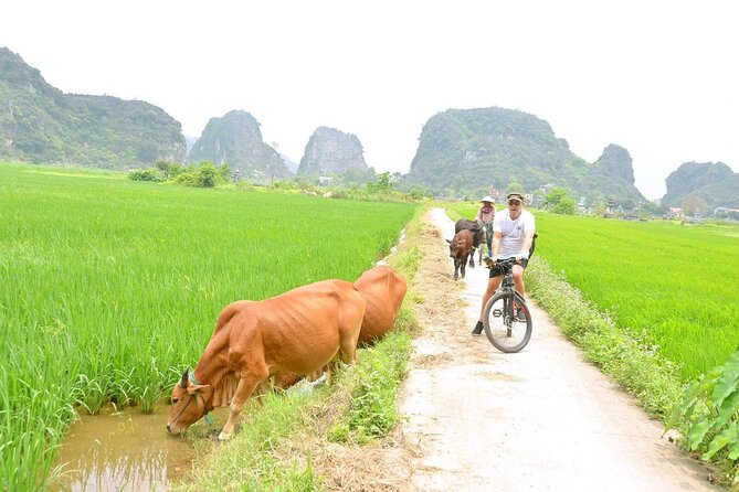 Ninh Binh Full-Day Small Group of 9 Guided Tour from Hanoi - Hoa Lu temples and Vietnam’s early capital