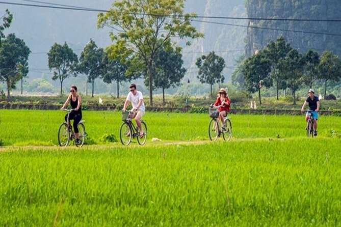 Ninh Binh Full Day Tour to Hoa Lu Tam Coc Mua Cave Buffet Lunch - The guide, group size, and daily rhythm