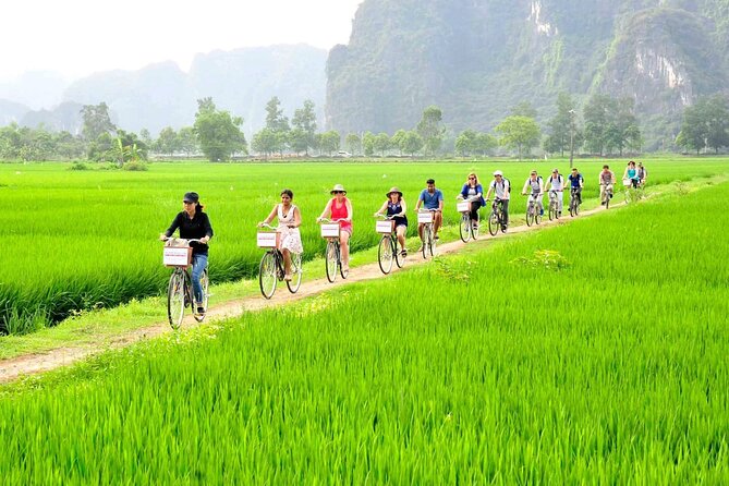 Ninh Binh Full Day Tour with Hoa Lu, Tam Coc and Mua Cave - A Vietnamese lunch with local flavors