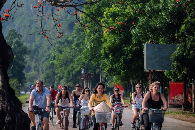 Ninh Binh Full Day Tour with Hoa Lu, Trang An and Mua Cave - Guides, buses, and group size