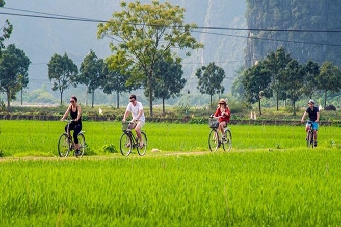 Ninh Binh Full-Day Trip to Trang An Mua Cave Hoa Lu Buffet Lunch - Lunch and the practical middle of the day