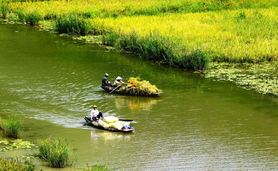 Ninh Binh: Hoa Lu, Trang An and Mua Caves Hiking Day Trip - Key points to know before booking
