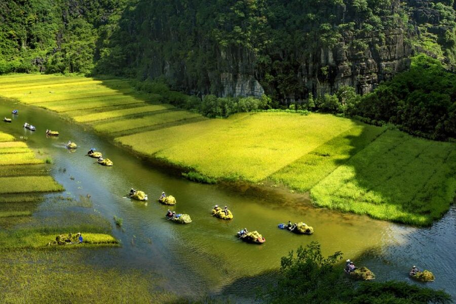 Ninh Binh: Hoa Lu, Trang An and Mua Caves Hiking Day Trip - Lunch and the middle of the day