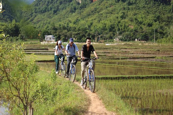 NINH BINH MEMORABLE DAY: Hoa Lu, Mua Cave, boat trip Tam Coc, Trang An optional - Transport, lunch, and group size