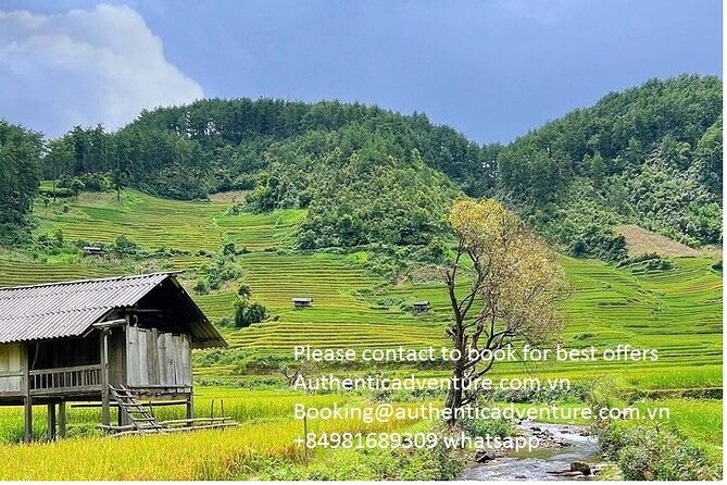 Ninh Binh - Pu Luong | Best Optional Choices | 3 - 4 days Tours - Day 4: Trang An, Mua Cave, and Hoa Lu