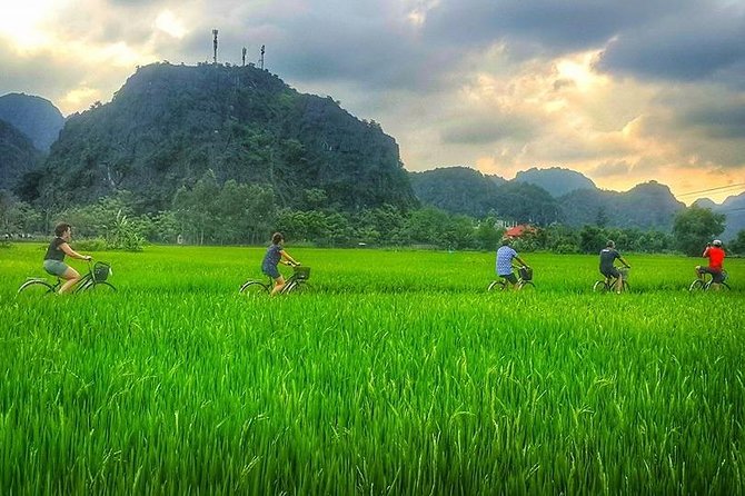 Ninh Binh Tour Bai Dinh Trang An Mua Cave Small Group Limousine - What the guide can add to the day