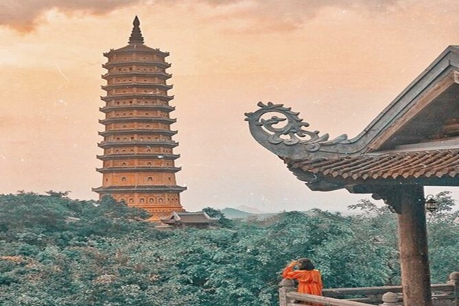 Ninh Binh Tour Bai Dinh Trang An Mua Cave Small Group Limousine - Who should book this Ninh Binh day trip