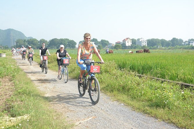 Ninh Binh: Trang An, Bai Dinh, Hoa Lu, Mua Cave, Small Group Tour - Group size, guide service, and comfort