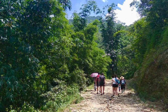 Number one top rated ethical cultural trekking and homestay by ETHOS - Rice terraces, village paths, and the steep climb